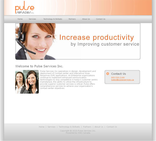 Pulse Services Inc Pulse Services Inc